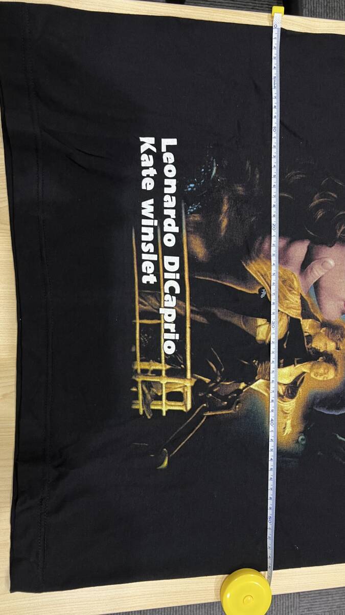 ヴィンテージ Tシャツ タイタニック 映画 ムービーT 90s アメカジ