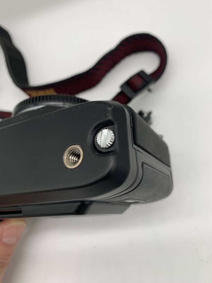 ニコン NIKON F-501 ボディ データバック MF-19付き フィルム一眼レフ